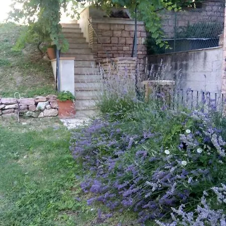Eden House Apartment Assisi Exterior photo