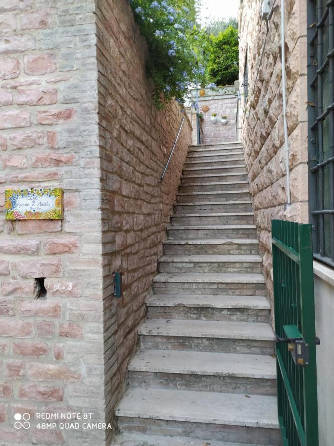 Eden House * Assisi