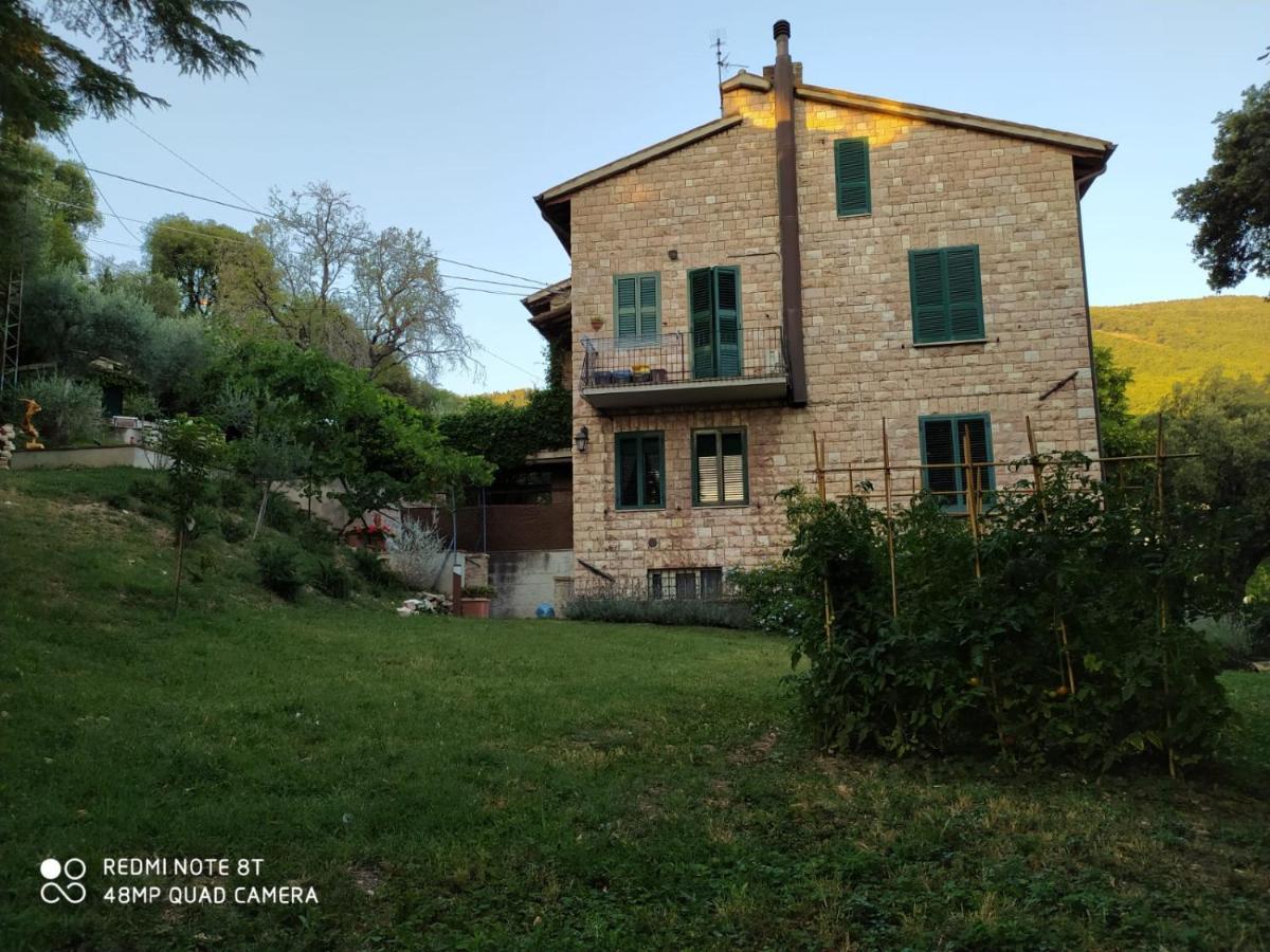 Eden House * Assisi