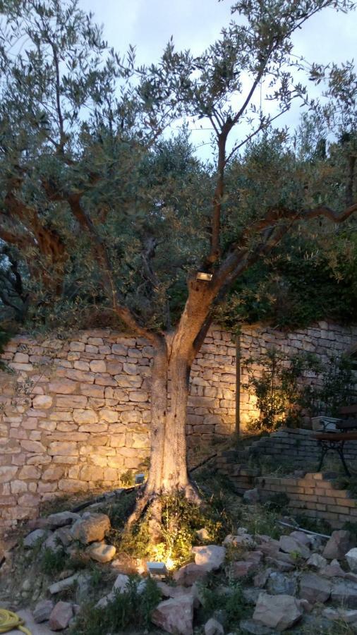 Eden House Assisi