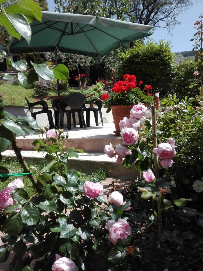 Apartment Eden House Assisi